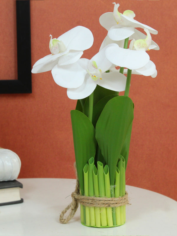 Artificial Orchid Flowers Plant for Decoration (White, 27.4 cm x 6.3 cm)