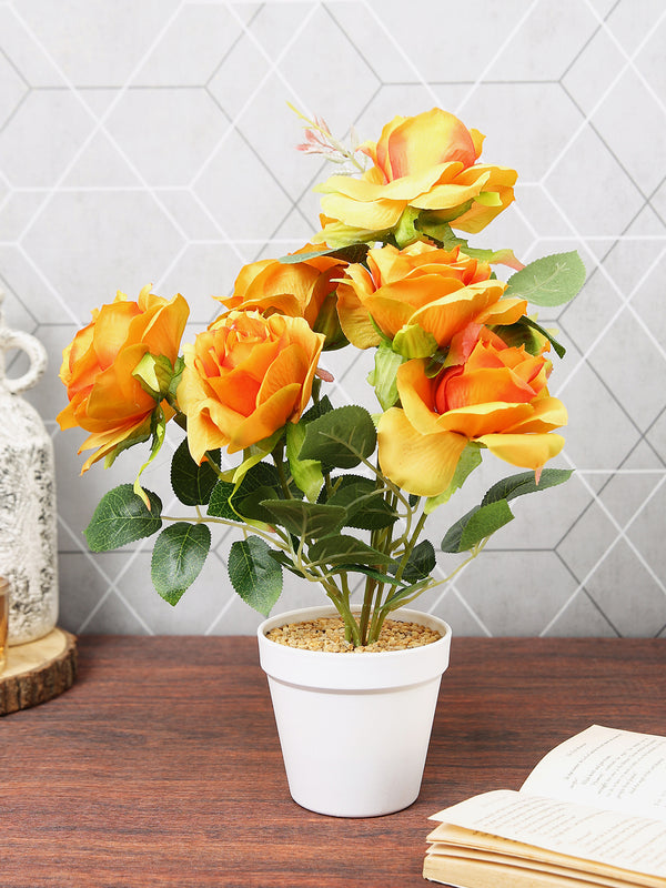 Orange & White Rose Flower & Plant With Ceramic Pot