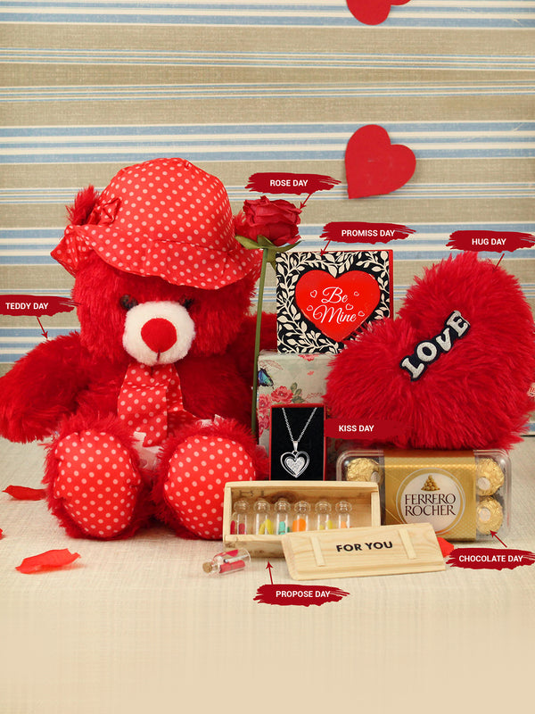 Teddy Card Cushion Red Rose Message Bottles Pendant with Chocolates