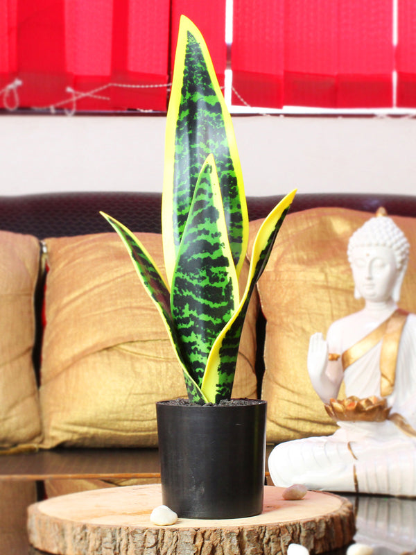 Green & Yellow Artificial Snake Plant with Pot
