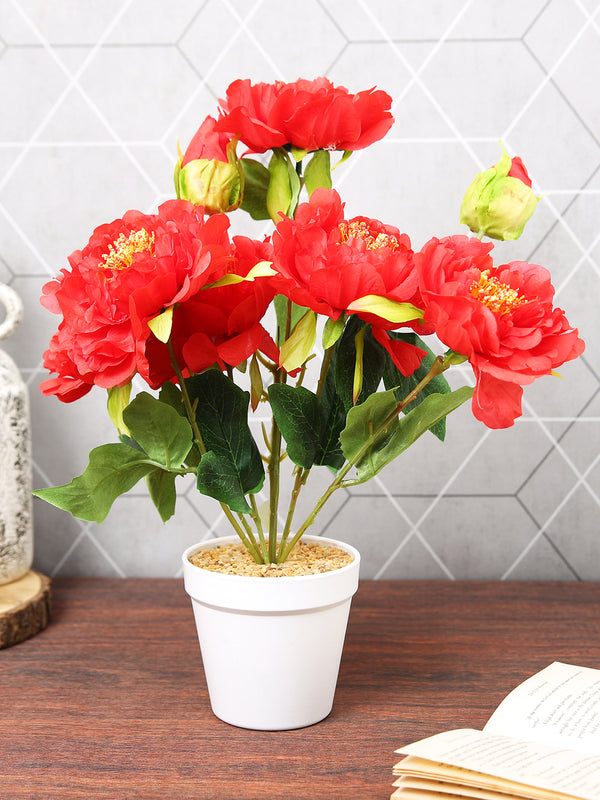 Red & Green Peony Flowers & Plant With Ceramic Pot