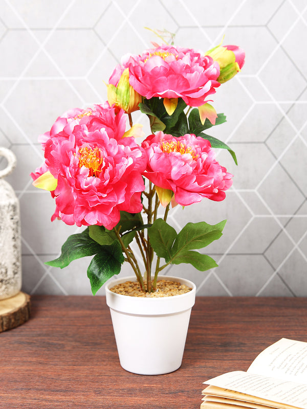Red Peony Flower & Plant With Ceramic Pot