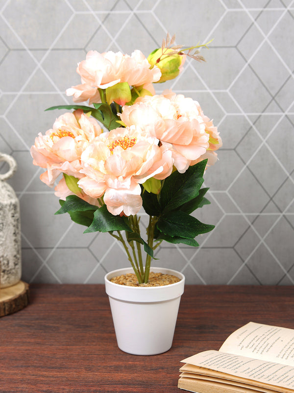 Peach & White Peony Flowers & Plant With Ceramic Vase