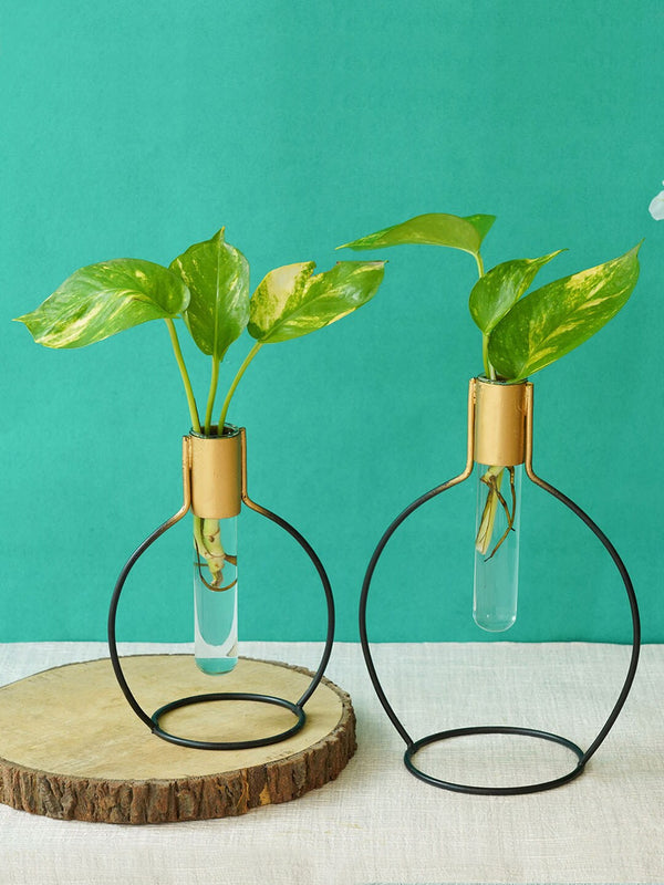 Test Tube Planters Set Of 2