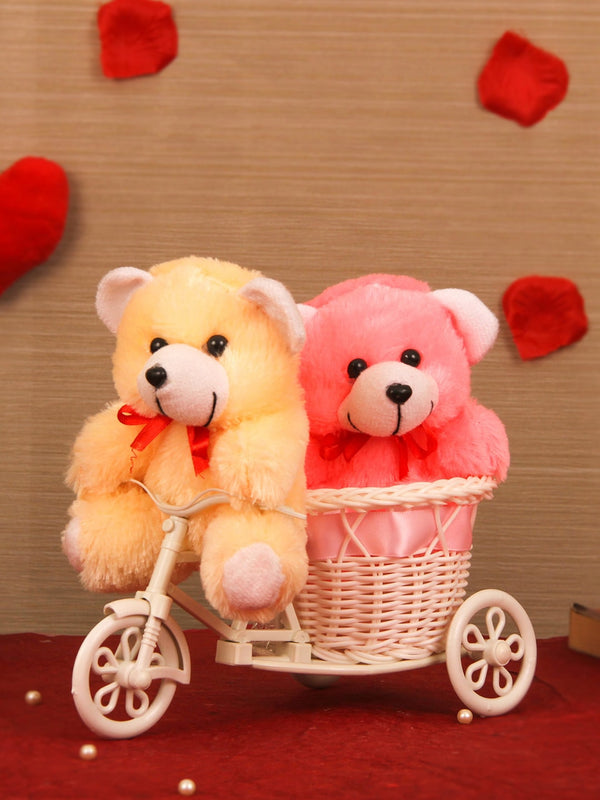 Valentine Special Decorative Cycle with 2 Small Teddy
