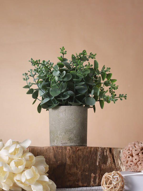 Green Artificial Eucalyptus Plants With Pot