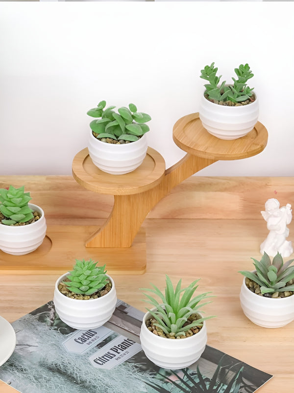 Set of 6 Artificial Small Succulents Plants with Pots for Home Dcor - (Green, 7.6cm x 7cm)
