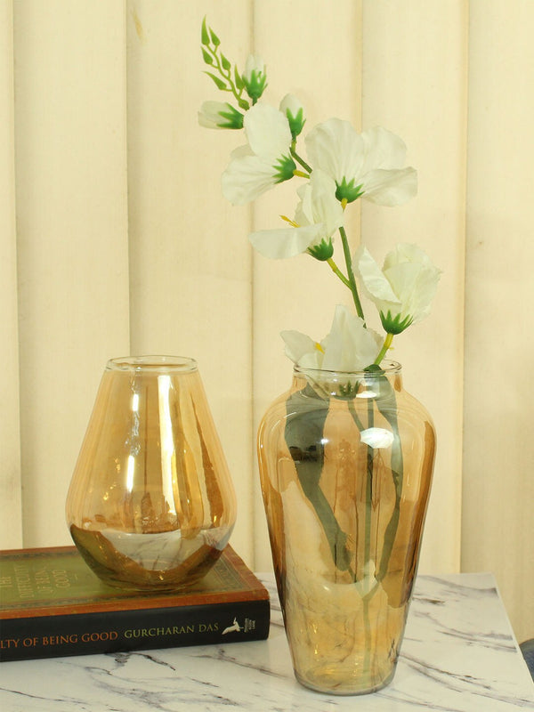 2-Pcs Gold-Transparent Decorative Glass Vases