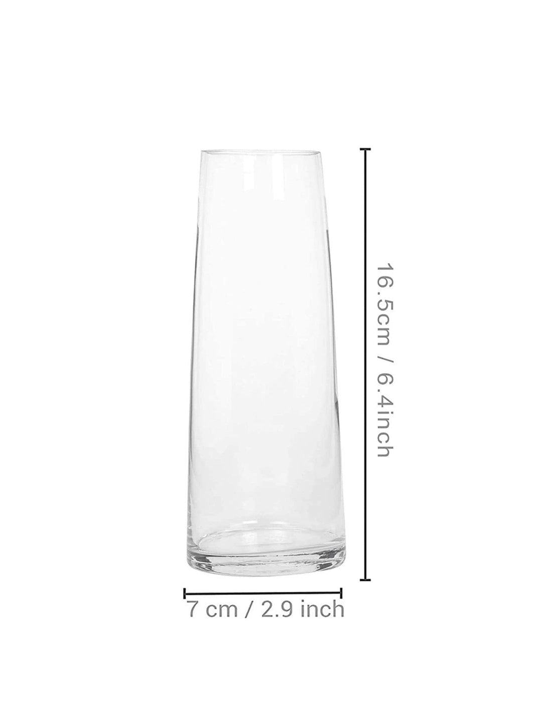 Buy | Transparent Solid Flower Glass Vase | Tied Ribbons